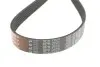 Ремінь генератора Mitsubishi Lancer 08-/Outlander 1.8-2.4 06-12 Gates 6PK2625 (фото 2)