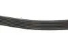 Ремінь генератора Mitsubishi Lancer 08-/Outlander 1.8-2.4 06-12 Gates 6PK2625 (фото 3)
