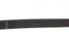 Ремінь генератора Ford Transit/Citroen Berlingo/Peugeot 308 1.6D 13- Gates 6PK965 (фото 3)