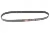 Ремінь генератора Ford Transit/Citroen Berlingo/Peugeot 308 1.6D 13- Gates 6PK965 (фото 4)