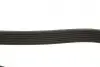 Ремінь генератора Land Rover Discovery/Range Rover 2.5 Td5/3.9-4.6 93-04 Gates 7PK1870 (фото 3)