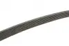 Ремінь генератора Honda Accord VIII 2.0 I 08-/ Land Rover Range Rover II 3.9-4.6 94-02 Gates 7PK2080 (фото 3)