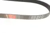 Ремінь генератора Mazda 3/5/6 2.0 DI/CD 02-10 Gates 8PK1225 (фото 2)