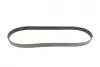 Ремінь генератора Mazda 3/5/6 2.0 DI/CD 02-10 Gates 8PK1225 (фото 4)
