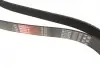 Ремінь генератора Jeep Grand Cherokee II 3.1TD 99-01 Gates 8PK2485 (фото 2)