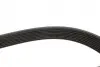 Ремінь генератора Jeep Grand Cherokee II 3.1TD 99-01 Gates 8PK2485 (фото 3)