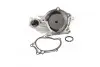 Помпа воды WPQ0622 (MagnetiMarelli) MAGNETI MARELLI 352316170622 (фото 1)