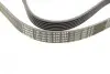 Ремінь генератора VW T5/Golf 2.3-3.2 V6 03-09/Audi A4/A6/Q5 2.0TDI 08-17 (6PK1264) BOSCH 1 987 946 102 (фото 3)