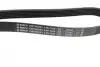 Ремінь генератора Fiat Doblo 1.3D Multijet/1.3JTD/Ford Focus 1.8/2.0 04- (6PK1306) BOSCH 1 987 948 343 (фото 3)