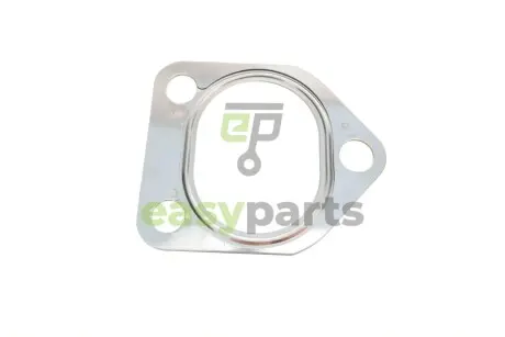 Прокладка турбіни BMW 5 (E60) 03- ELRING 066.670