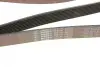 Ремінь генератора BMW 5 (F10/F11)/X3 (F25) 09-13 (N52/N53) (8PK1784) Gates K080702 (фото 5)