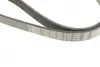 Ремінь генератора VW Caddy 1.9D/SDI -03 (6PK1038) BOSCH 1 987 946 000 (фото 6)