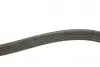 Ремінь генератора VW Caddy 1.9D/SDI -03 (6PK1038) BOSCH 1 987 946 000 (фото 3)