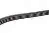 Ремінь генератора Renault Clio/Kangoo 1.4i/1.6 98-03 (4PK1238) BOSCH 1 987 946 003 (фото 8)