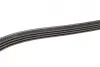 Ремінь генератора Renault Clio/Kangoo 1.4i/1.6 98-03 (4PK1238) BOSCH 1 987 946 003 (фото 3)