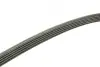 Ремінь генератора VW Passat 1.9TDI 96-00/Audi A4/A6 1.9TDI 95-01 (5PK1592) BOSCH 1 987 946 022 (фото 3)