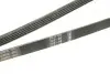Ремінь генератора VW Passat 1.9TDI 96-00/Audi A4/A6 1.9TDI 95-01 (5PK1592) BOSCH 1 987 946 022 (фото 4)