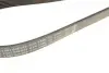 Ремінь генератора Ford Focus 1.4/1.6 98-05/Toyota Rav4 1.8 00-05/Daewoo Nubira 1.8/2.0 99- (6PK1890) BOSCH 1 987 946 039 (фото 4)