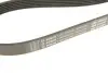 Ремінь генератора VW T4 2.5/2.5TDI 90-03 (6PK2060) BOSCH 1 987 946 042 (фото 5)
