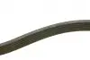 Ремінь генератора поліклиновий Nissan Almera 2.0 00-03/ Primera 2.0 16V 96-01 (6PK1030) BOSCH 1 987 946 051 (фото 3)