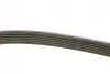 Ремінь генератора Audi A4/A6/A8 2.4/2.6/2.8 95- (6PK1880) BOSCH 1 987 946 064 (фото 4)