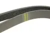 Ремінь генератора MB E-class (W124/W211)/ M-class (W164) (6PK2355) BOSCH 1 987 946 074 (фото 4)
