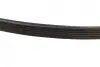 Ремінь генератора MB Sprinter 2.3D 95-06 (M111) (6PK2120) BOSCH 1 987 947 821 (фото 4)