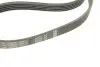 Ремінь генератора Renault 11/9/BMW 7 (E32)/8 (E31)/Mazda 323/626/Citroen XM 83-04 (5PK1165) BOSCH 1 987 947 841 (фото 4)
