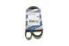 Ремінь генератора VW Crafter 2.0TDI 11-16/Opel Corsa D 1.7CDTI 06-11/Ford Fiesta 00-03 (6PK1610) BOSCH 1 987 947 983 (фото 1)