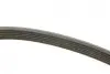 Ремінь генератора Mazda 2 1.3/1.5 07-/Toyota Corolla 1.4/1.6 00-02 (6PK1840) BOSCH 1 987 947 984 (фото 9)