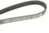 Ремінь генератора VW LT 2.8TDI 01-06/Volvo 850/S70/S80/V70 2.5TDI 95-06/Opel Astra 1.6 12- (6PK1685) BOSCH 1 987 947 986 (фото 5)