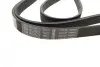 Ремінь генератора Mazda 3 1.3/1.6 03-09 (6PK2013) BOSCH 1 987 947 994 (фото 2)