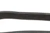 Ремінь генератора Mazda 3 1.3/1.6 03-09 (6PK2013) BOSCH 1 987 947 994 (фото 4)