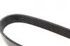 Ремінь генератора BMW 5 (E39)/7 (E38) 3.5i/4.4i 93-04/X5(E53) 4.4 i 00-03 (7PK1637) BOSCH 1 987 948 313 (фото 8)
