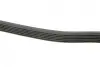 Ремінь генератора MB W202/210 M112/113 97- (6PK2300) BOSCH 1 987 948 464 (фото 3)