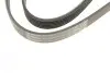 Ремінь генератора Audi 100/A6 2.3 90-97/Seat Toledo 2.3 V5 98-00 (6PK1293) BOSCH 1 987 948 487 (фото 5)