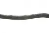 Ремінь генератора Volvo C70/S40/S80/S70/V70/XC70/XC90 1.6-3.0 95-14 Gates 6DPK1838 (фото 6)