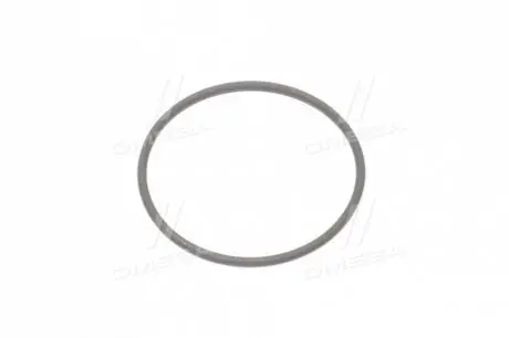 Фото кільце ущільнювальне SSANGYONG 6719940047 Кільце ущільнювальне SSANGYONG 6719940047