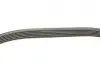 Ремінь генератора VW Caddy/Golf 1.9-2.0 TDI 03-10/Peugeot Boxer 2.8HDi 00- (6PK950) BOSCH 1 987 946 024 (фото 4)