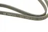 Ремінь генератора VW T5 1.9TDI/VW Caddy 1.9/2.0TDI (+AC) (6PK1215) BOSCH 1 987 946 210 (фото 4)