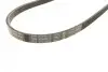 Ремінь генератора BMW X5 (E53) 3.0D 03-/Opel Astra G 1.7TD -00 (4PK884) BOSCH 1 987 947 807 (фото 5)