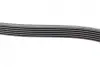 Ремінь генератора MB OM601/602 (6PK1980) BOSCH 1 987 947 832 (фото 3)