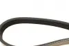 Ремінь генератора Honda Civic VI/Nissan Primera/Citroen Berlingo 1.4-1.6 16V 94-05 (4PK800) BOSCH 1 987 947 893 (фото 3)