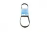 Ремінь генератора BMW 3 (E36)/5 (E34/E39) 2.0/2.5i 90-00/Ford Focus 2.5 05-12/Volvo C30/C70 04-13 BOSCH 1 987 947 913 (фото 1)