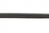 Ремінь генератора BMW 3 (E36)/5 (E34/E39) 2.0/2.5i 90-00/Ford Focus 2.5 05-12/Volvo C30/C70 04-13 BOSCH 1 987 947 913 (фото 10)