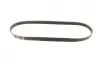 Ремінь генератора BMW 3 (E36)/5 (E34/E39) 2.0/2.5i 90-00/Ford Focus 2.5 05-12/Volvo C30/C70 04-13 BOSCH 1 987 947 913 (фото 11)