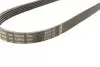 Ремінь генератора BMW 3 (E36)/5 (E34/E39) 2.0/2.5i 90-00/Ford Focus 2.5 05-12/Volvo C30/C70 04-13 BOSCH 1 987 947 913 (фото 3)