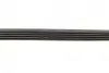 Ремінь генератора BMW 3 (E36)/5 (E34/E39) 2.0/2.5i 90-00/Ford Focus 2.5 05-12/Volvo C30/C70 04-13 BOSCH 1 987 947 913 (фото 4)