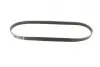 Ремінь генератора BMW 3 (E36)/5 (E34/E39) 2.0/2.5i 90-00/Ford Focus 2.5 05-12/Volvo C30/C70 04-13 BOSCH 1 987 947 913 (фото 5)