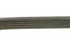 Ремінь генератора Fiat Ducato 1.9D/TD/Peugeot 106 1.5D 94-04/Mitsubishi Lancer 1.3 98-04 (5PK962) BOSCH 1 987 947 918 (фото 2)
